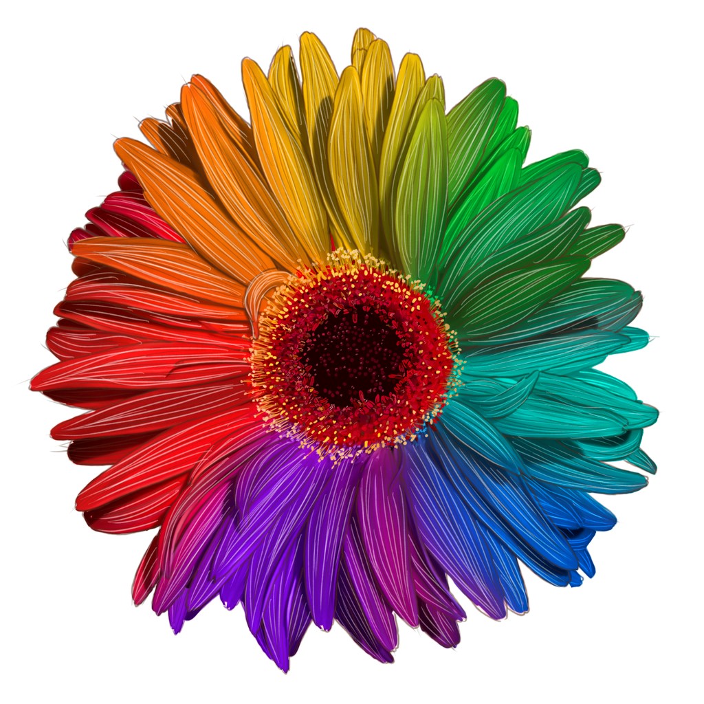 Use a colour wheel when ordering flower arrangements